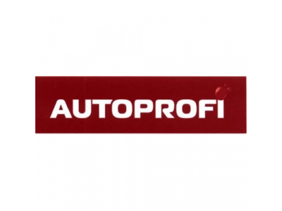 Клемма АКБ (болт) универсальная,облегченная сталь AUTOPROFI
